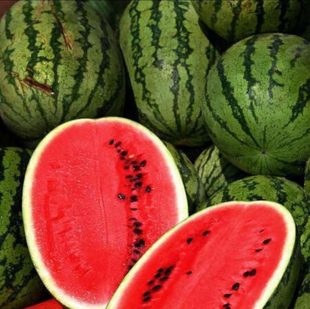 25 Allsweet Watermelon Seeds / Organic / NON GMO – FLORIDA GROWN – DELICIOUS