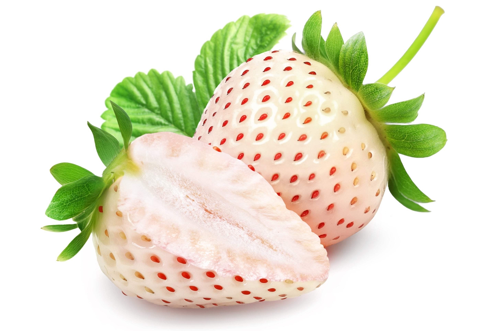 100 WHITE SOUL STRAWBERRY Fragaria Vesca Fruit Flower Berry Seeds *Comb S/H