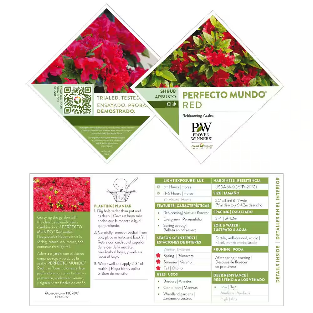 Azalea Shrub Easy Care Low Maintenance Perennial 2 Gal with Red Flowers