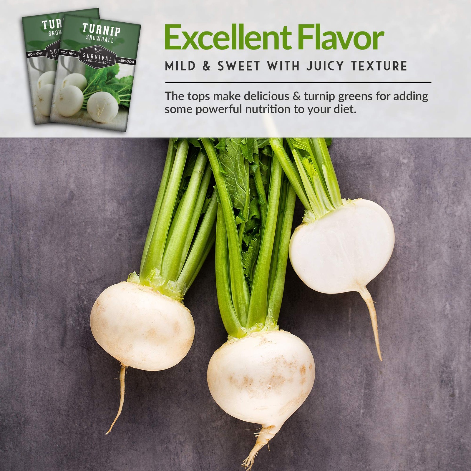 Heirloom Turnip Seeds Snowball White, NonGMO for Fall & Spring Gardens 3