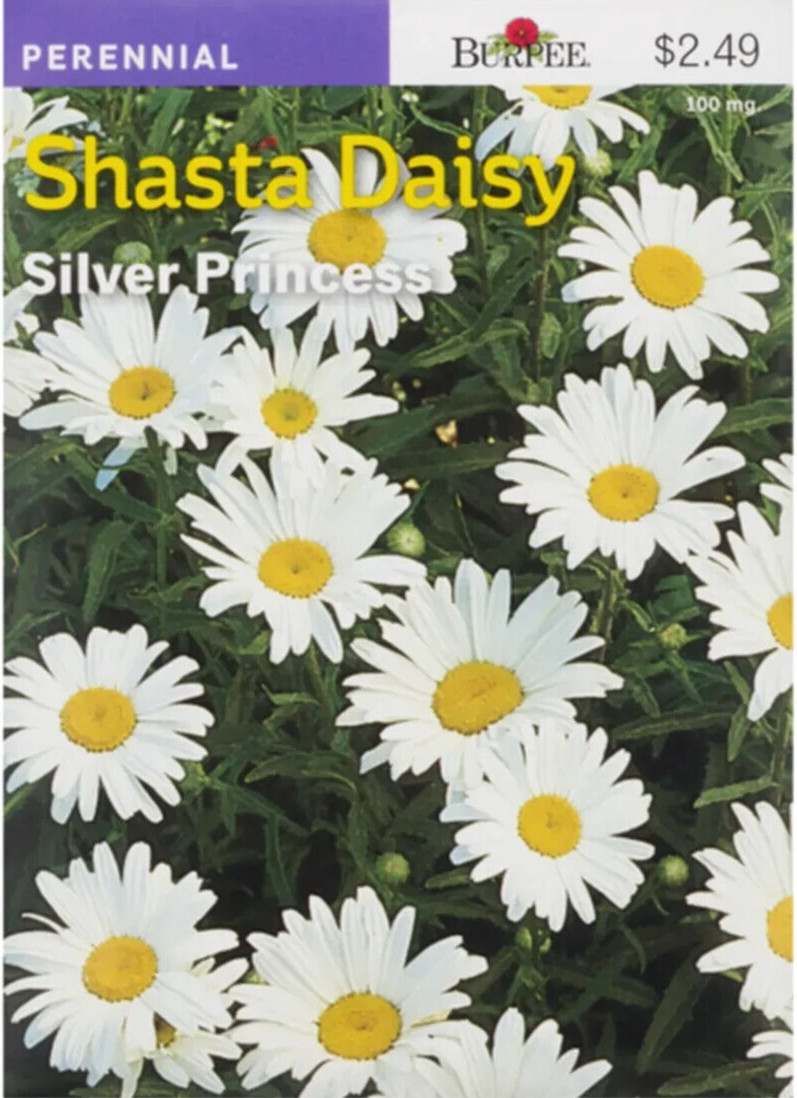 Burpee Shasta Daisy Silver Princess Seeds Perennial Seed Packet White Daisies