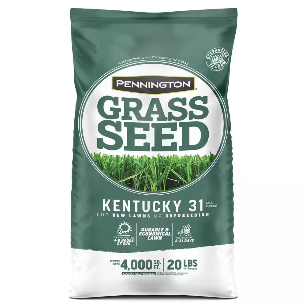 Kentucky 31 Tall Fescue 20 Lb. 4,000 Sq. Ft. Grass Seed