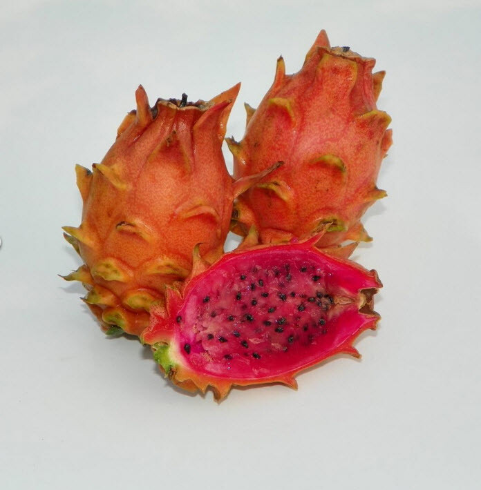 Frankies Red Dragon Fruit Sale special Flesh Cutting 7 – 10 Inchs (2) pieces