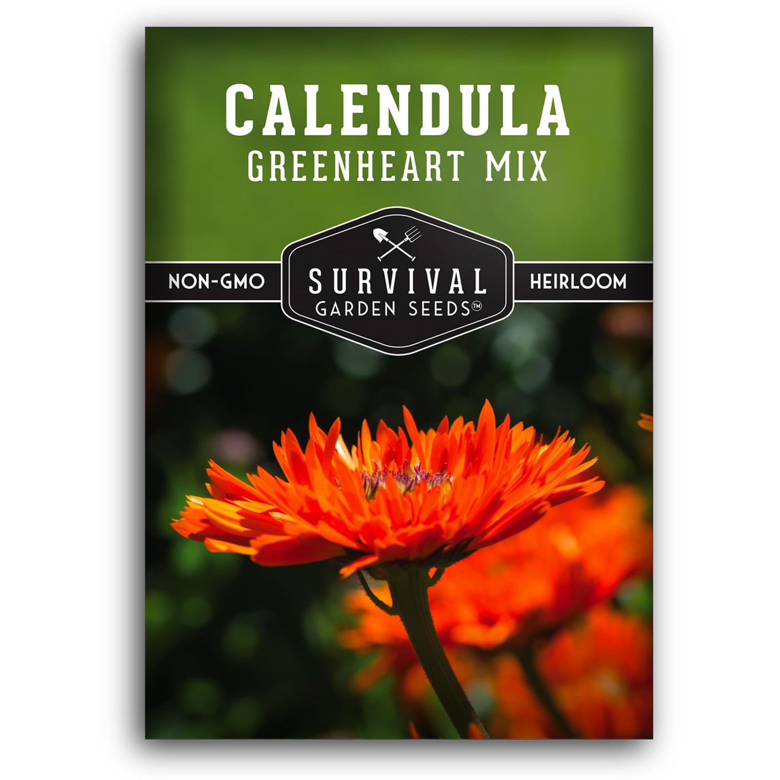 Greenheart Mix Calendula Seeds for Planting – Rare Heirloom Pot orange