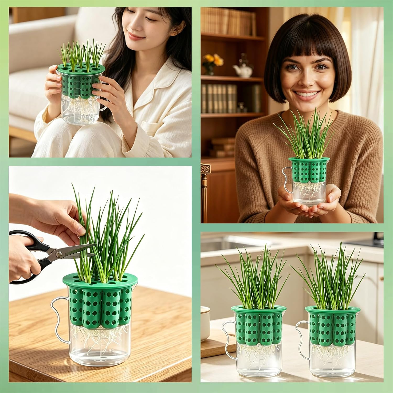 2Set Green Onion Planter Scallion Regrower Seed Sprouting Kit | 2 Green Onion Gr