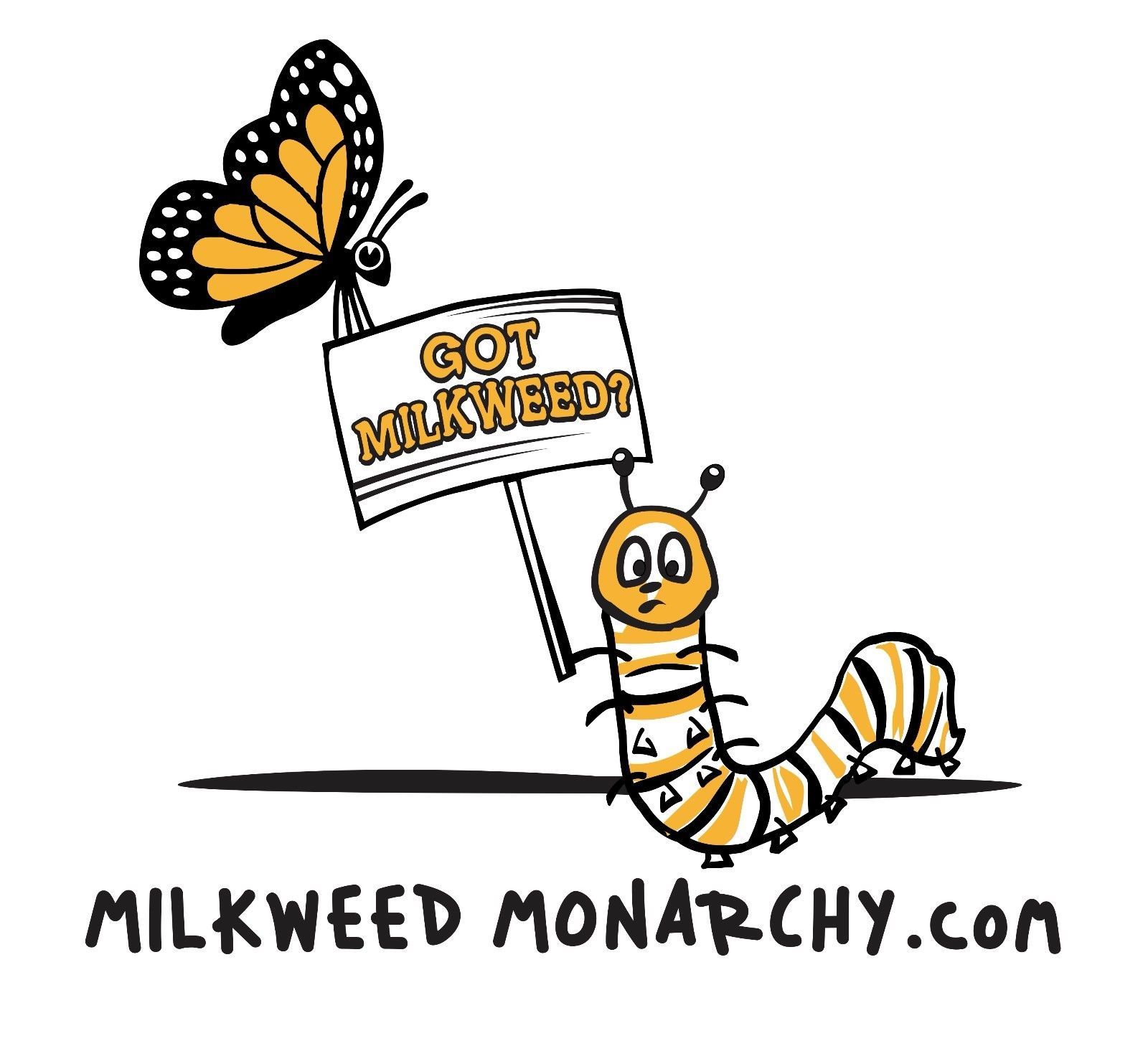 9 Common Milkweed Clay Seed Balls Asclepias syriaca 2023 Organic