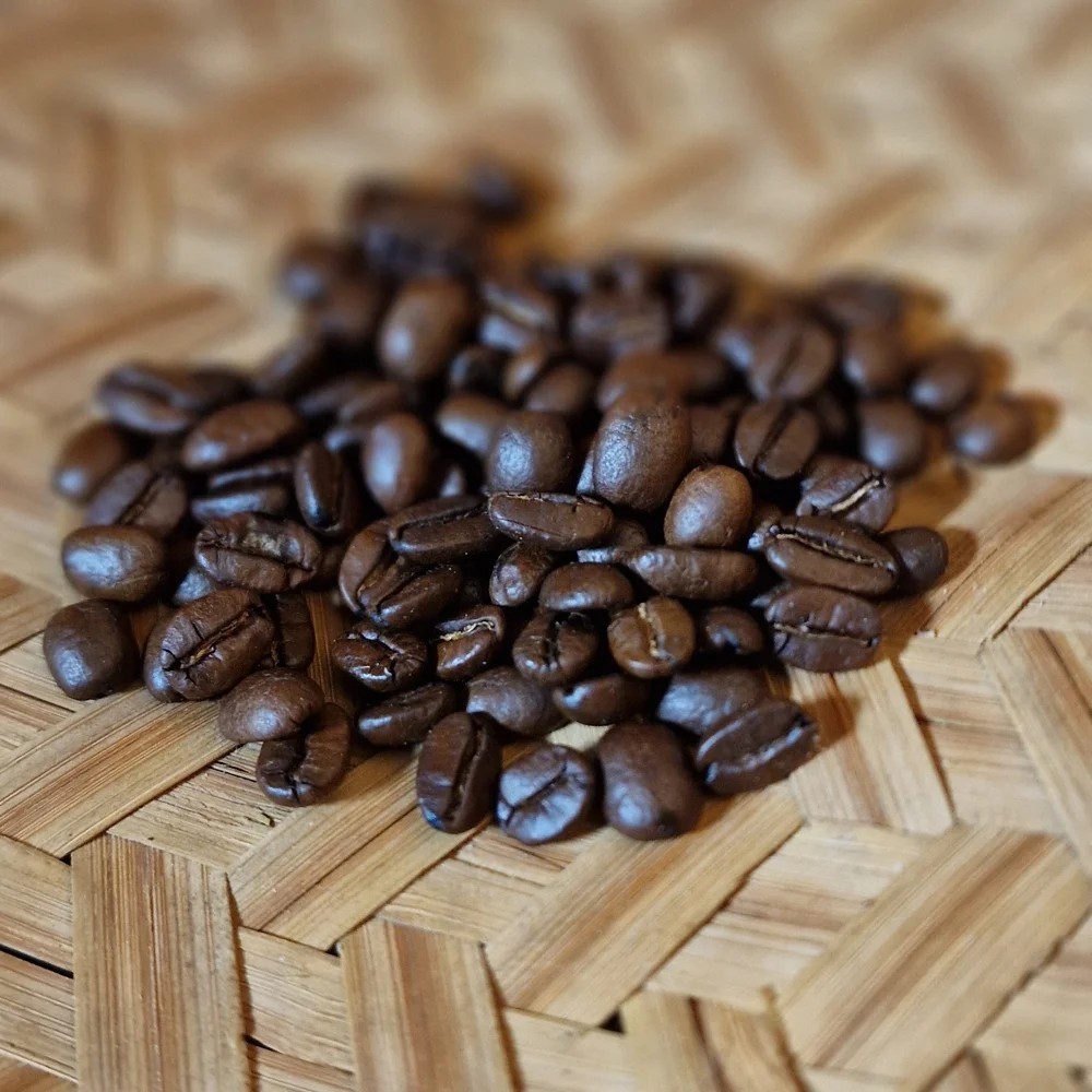 Bali Kintamani Coffee Bean Tree Seeds (25) / Organic / Rare / DELICIOUS