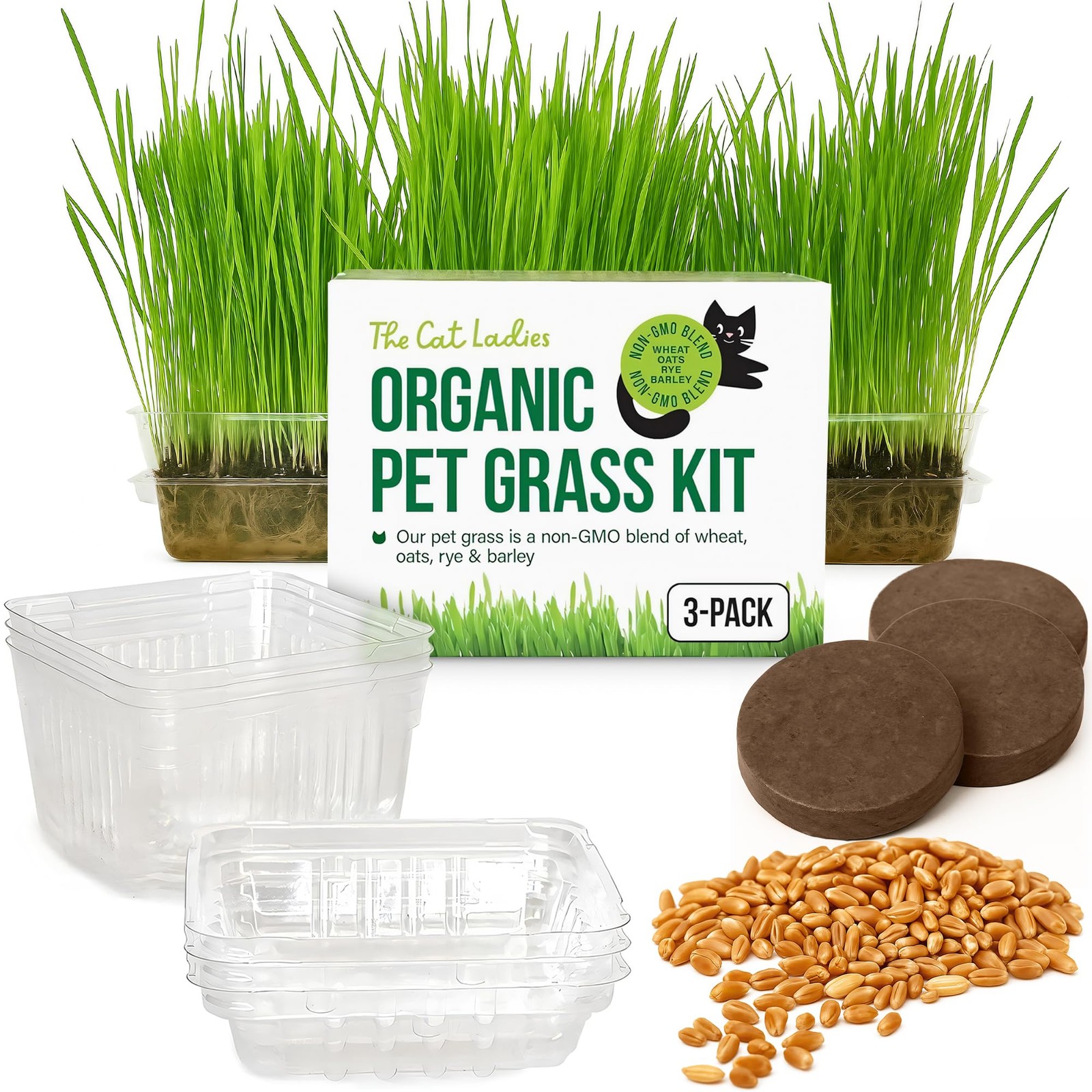 Cat Grass for Indoor Cats – Growing Kit – Organic Cat Grass Seeds, Soil and B…