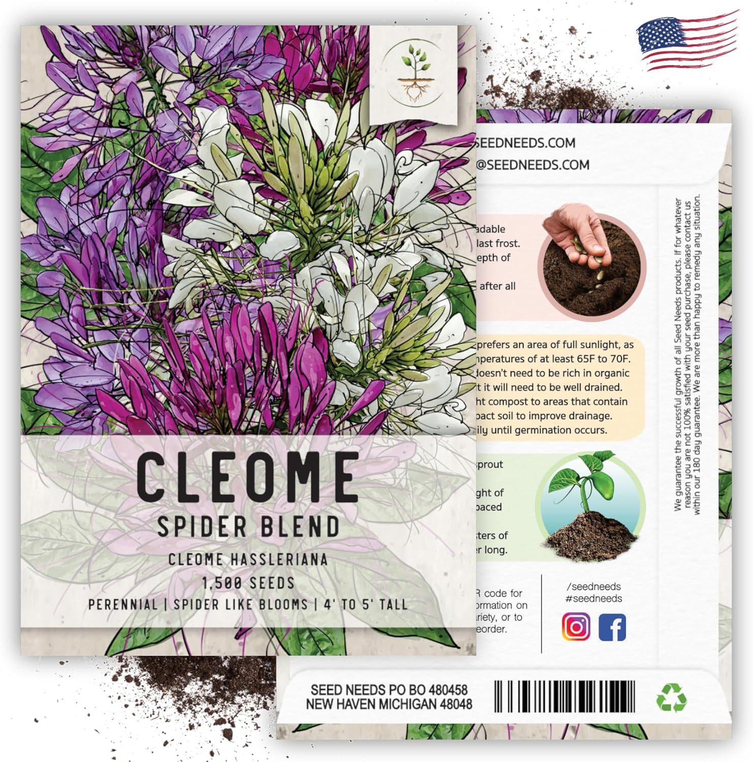 Cleome Seeds for Planting Spider Plants – Heirloom & Open Pollinated Wildflower
