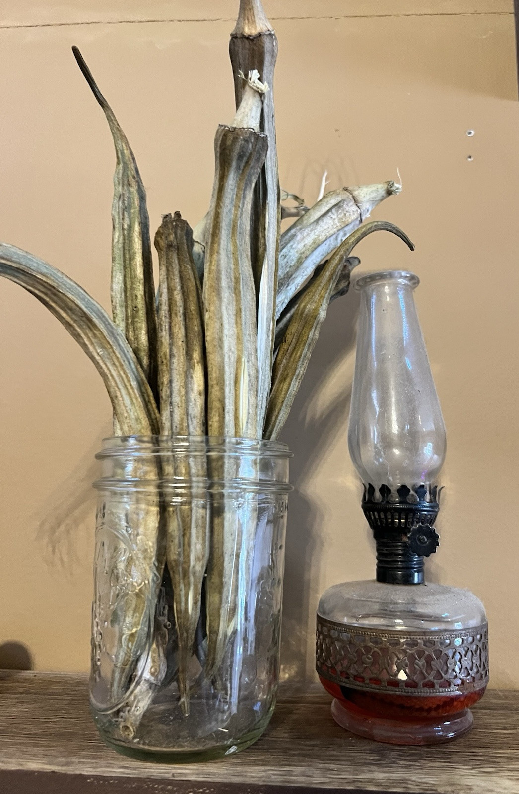 Heirloom large Pod okra seeds