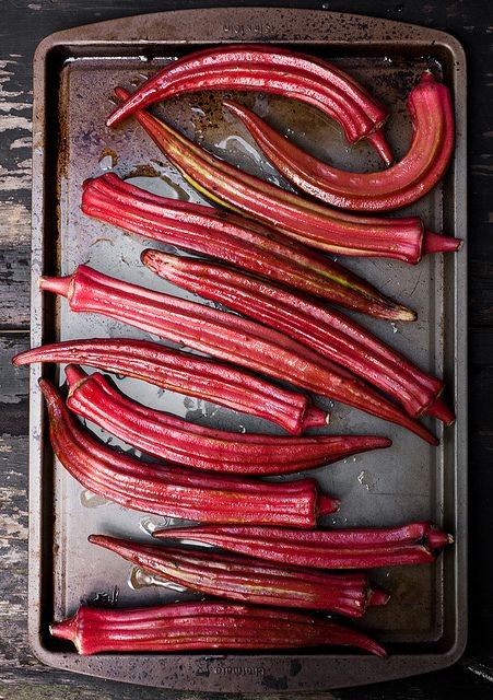 Burgundy Red Okra Seeds | Clemson Spineless Pink Fire Candle Vegetable Seed 2024