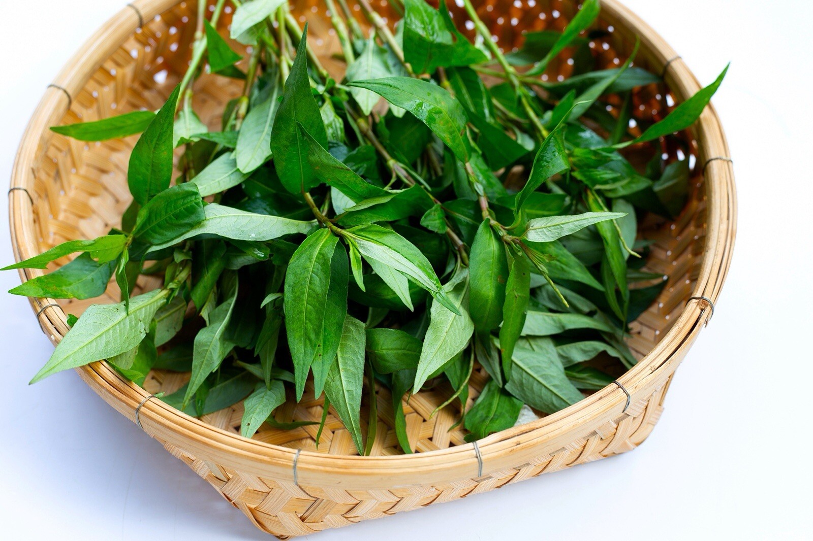 5 Live Coriander Plants 8-10 inch ( Rau Răm)