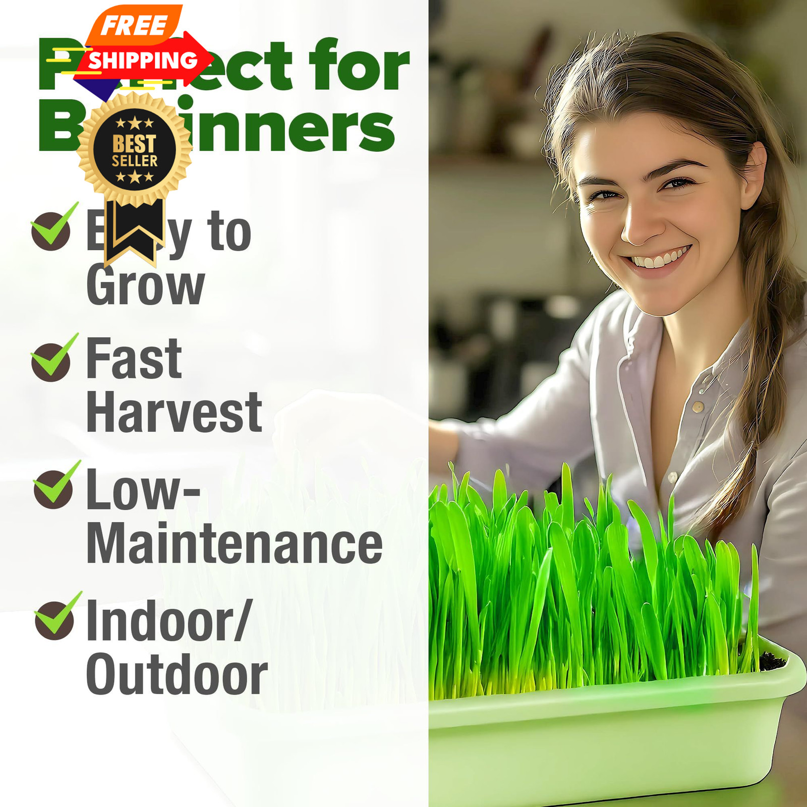 HOME GROWN Hard Red Winter Wheatgrass Seeds 12,000+ Bulk 1.5 lb 1-Pack, Multi