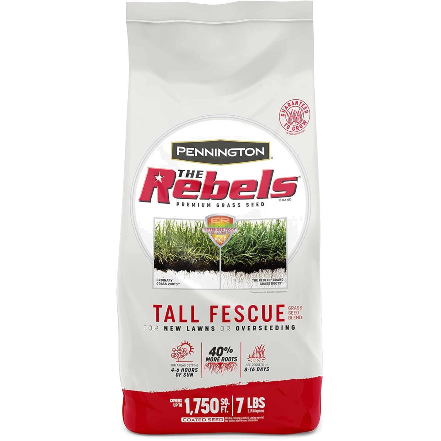 The Rebels 7 lb Tall Fescue Grass Seeds – Fast Germination for Optimal Lawns