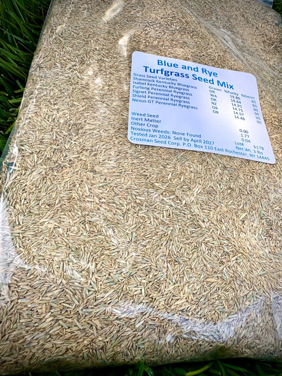 Grass Seed High Traffic Kentucky Bluegrass Perennial Ryegrass Mix 3 lb Kids Pets