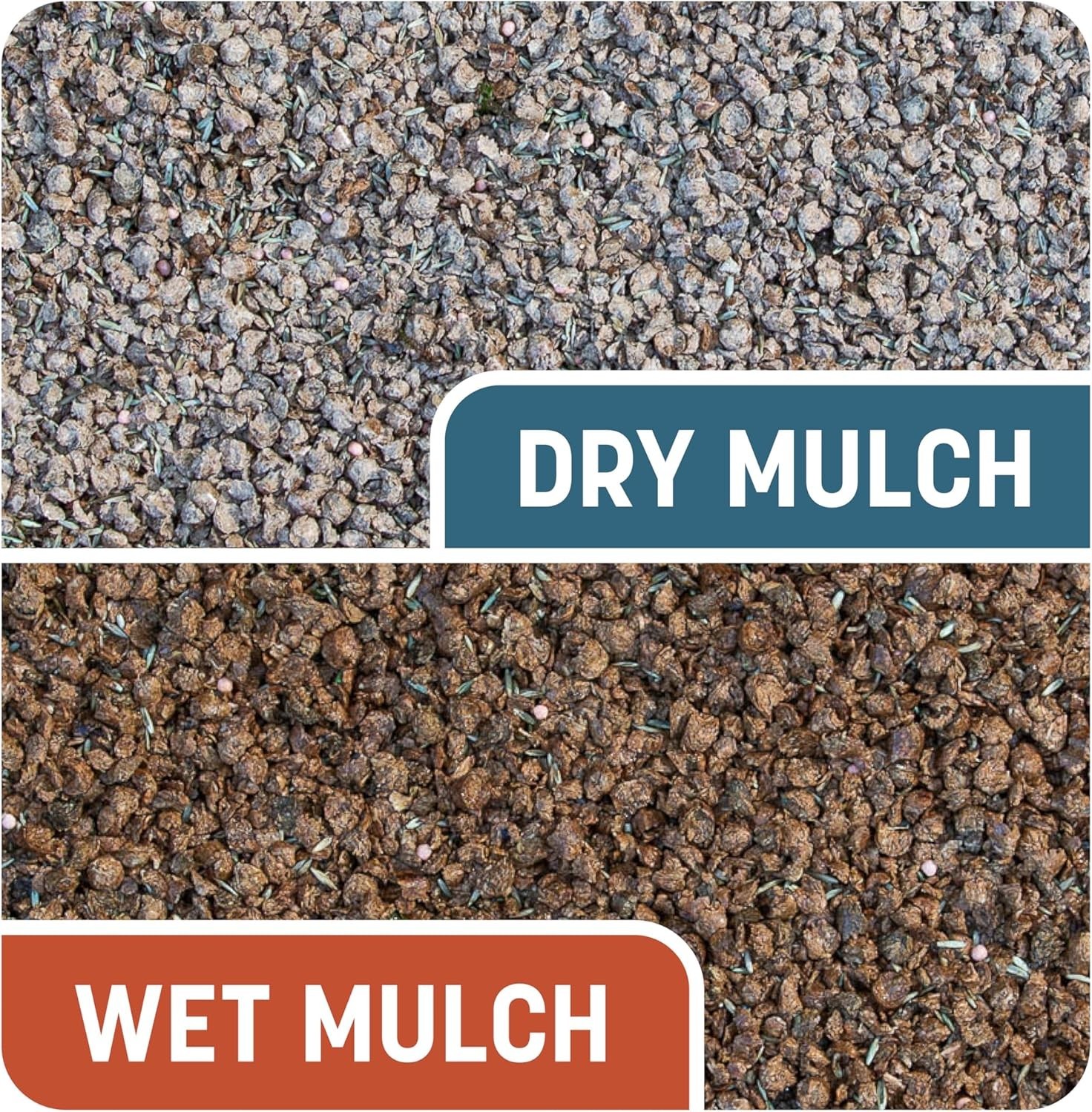 Smart Patch Bermudagrass Mix 10 lb – Ideal for Sunny Lawns & Quick Fixes