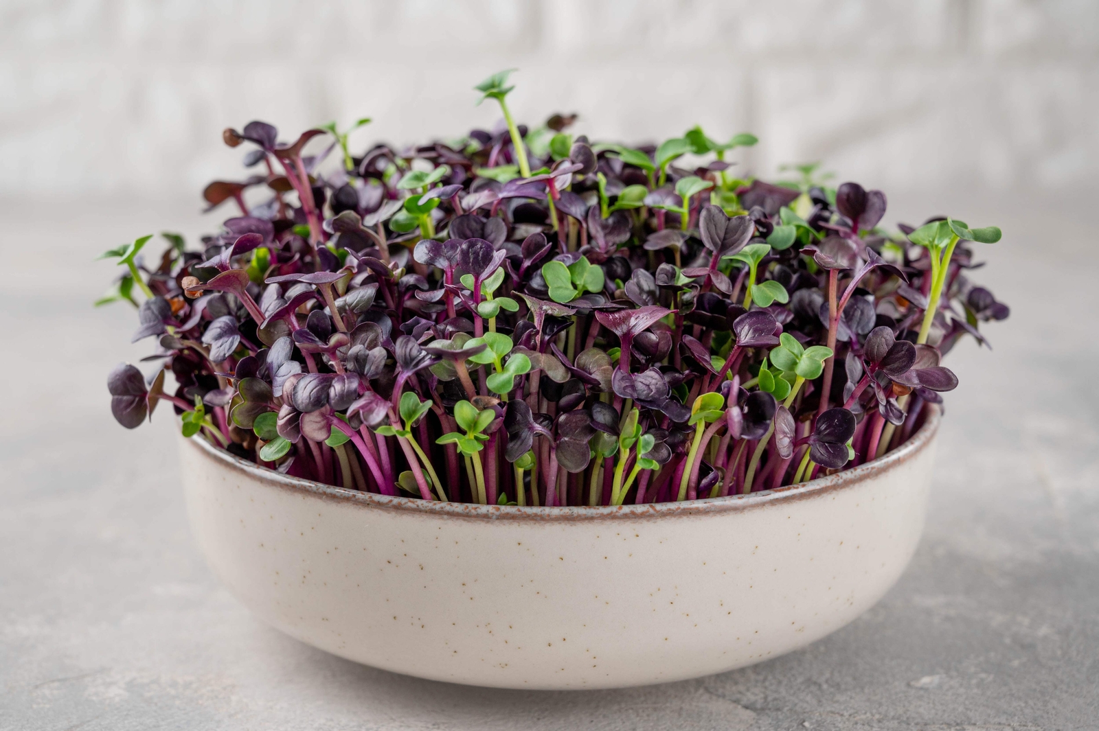 300 PURPLE PLUM RADISH Raphanus Sativus White Flesh Root Vegetable Seeds