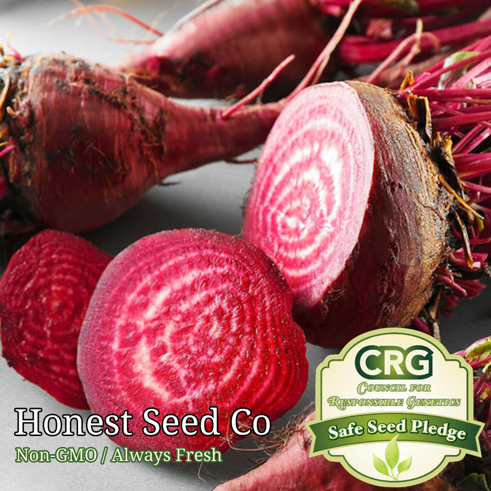 Bulls Blood Beet Seeds | 100+ Non-GMO Seeds