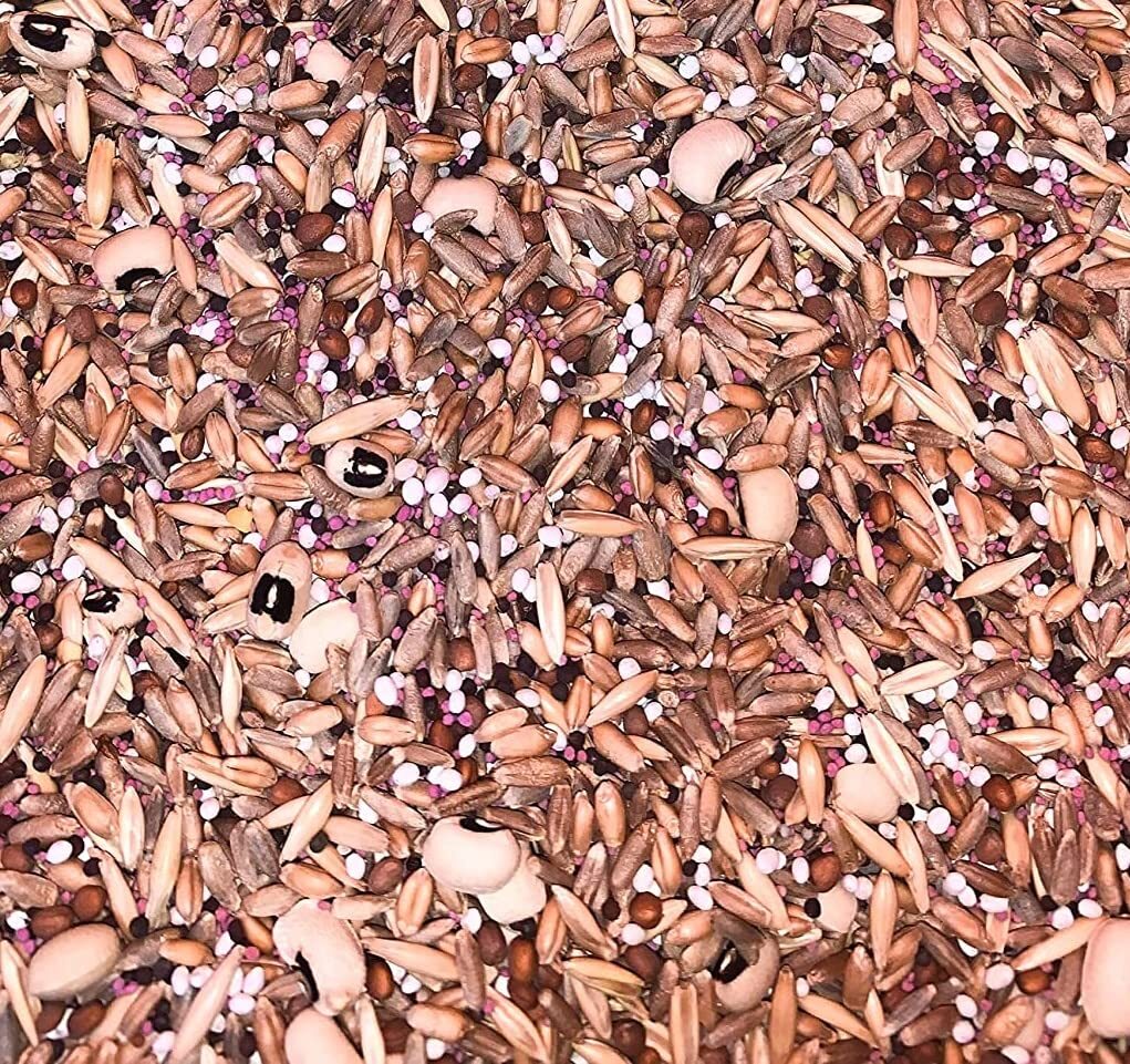 No-Till Cover Crop 10 Seed Mix – Winter Rye, White Clover, Austrian Winter Peas,