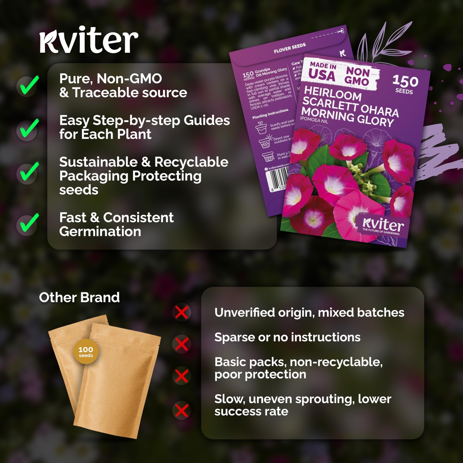 KVITER 150 Scarlett O’Hara Morning Glory Seeds for Planting (Ipomoea nil)