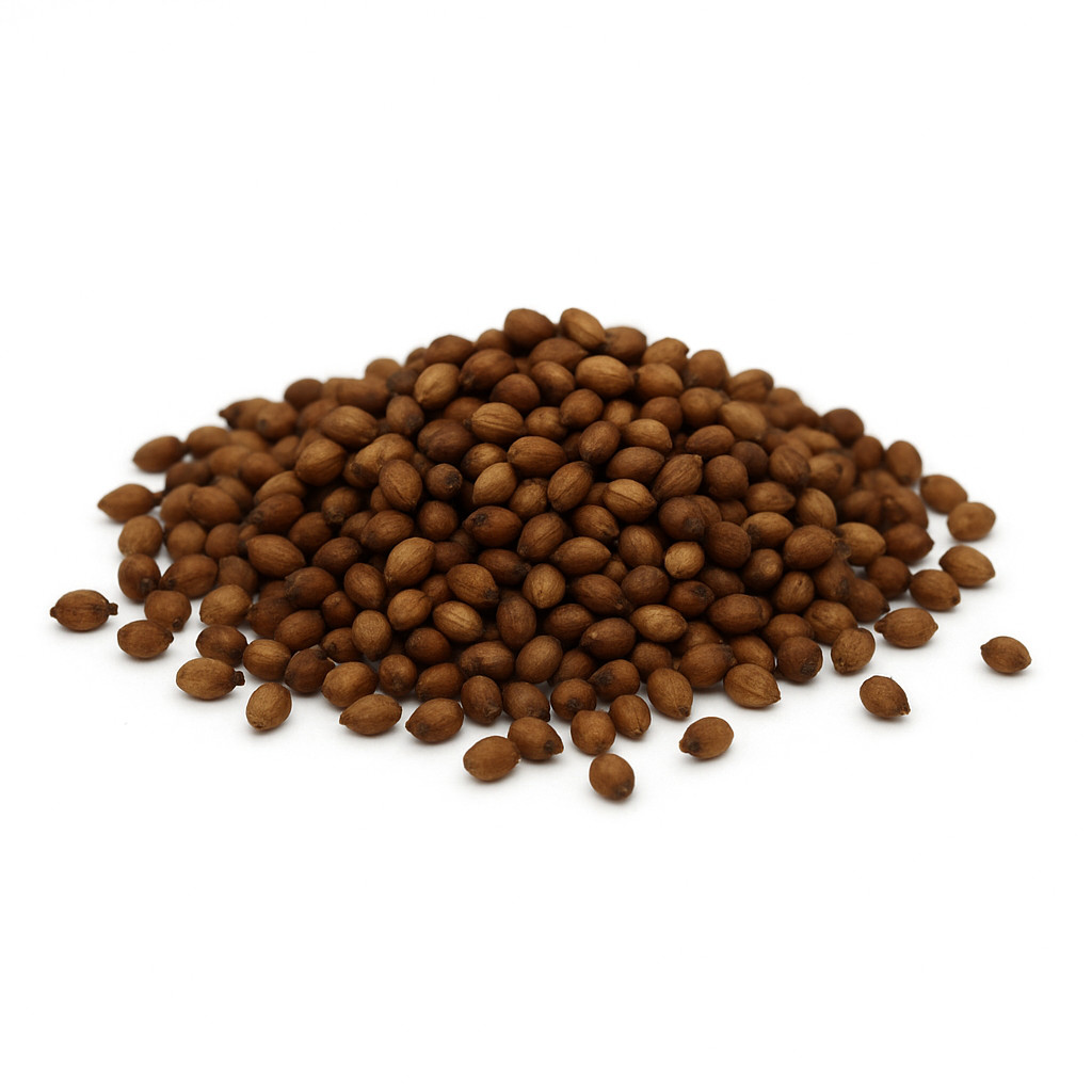 Egyptian Wheat Seed Grain for Planting Food Plot Deer Quail No-GMO 1/4 lb