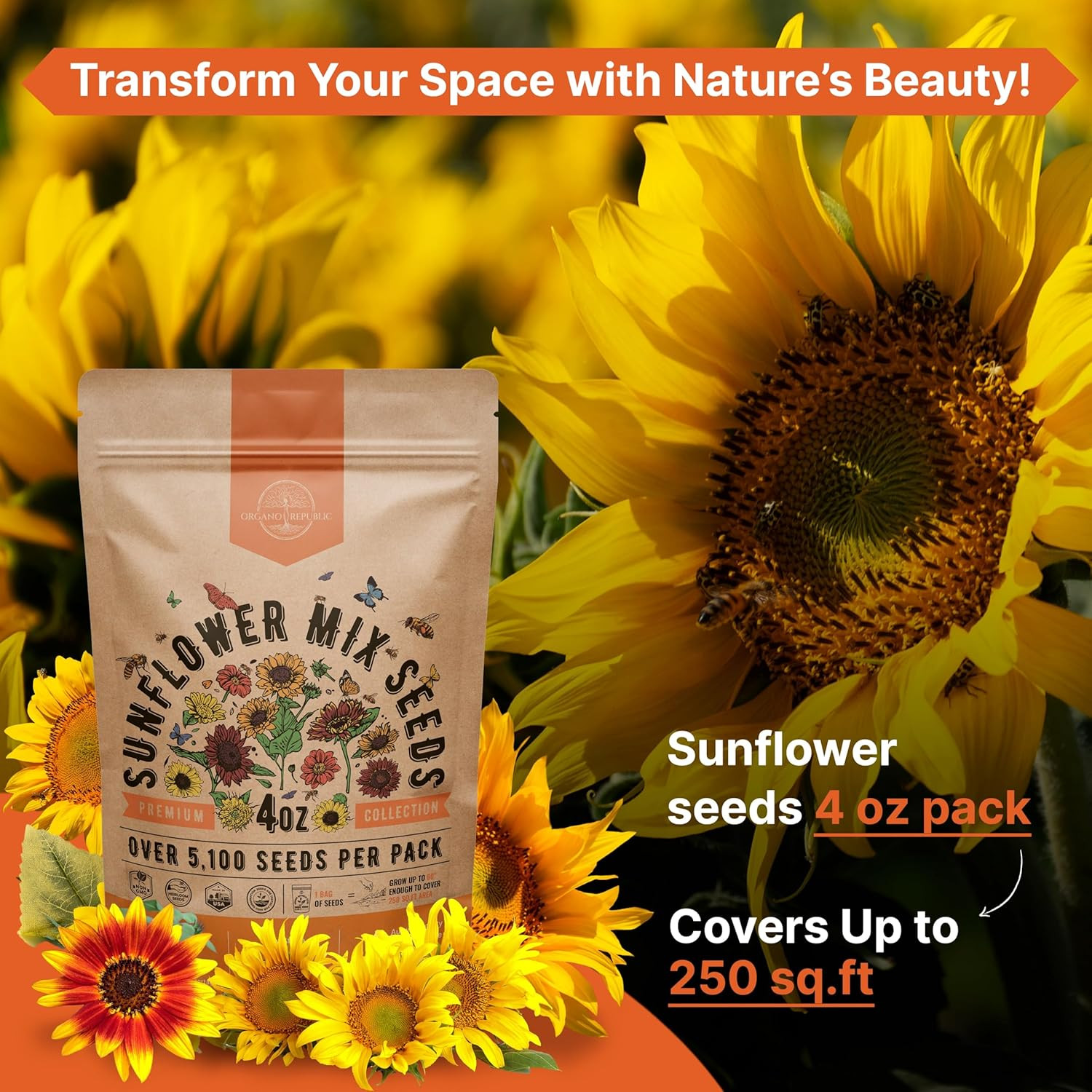 Sunflower Mix Seeds Pack 4 Oz – over 5,100 Non-Gmo Heirloom Sunflower Seeds for