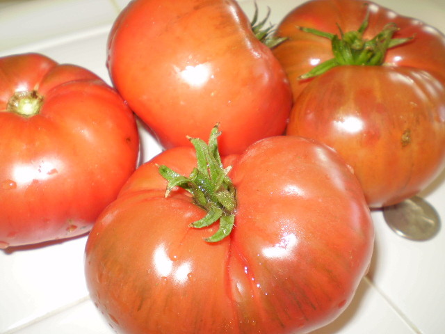 Barlow Jap tomato seeds non-gmo heirloom open pollinated SUPER DELICIOUS 25