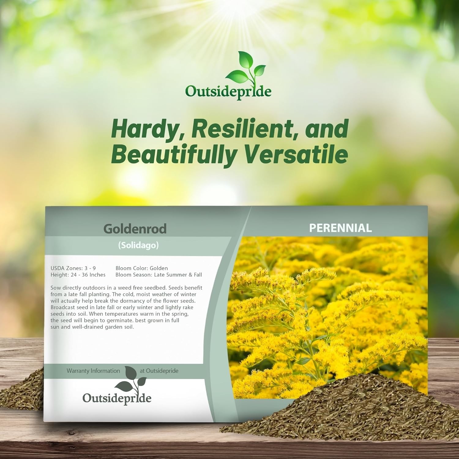10000 Seeds Yellow Solidago Seeds For Planting – Goldenrod Flower Seed