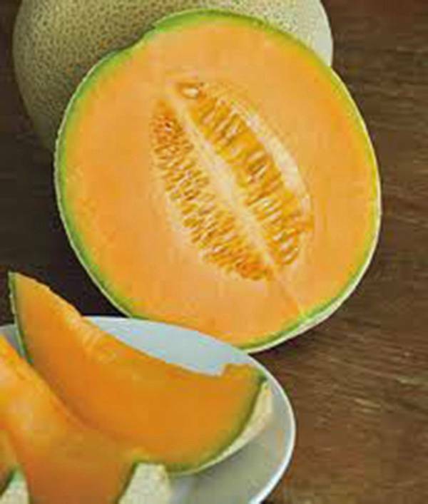 CANTALOUPE SEED​, HALES BEST JUMBO, HEIRLOOM, NON GMO, 100 SEEDS, MELON