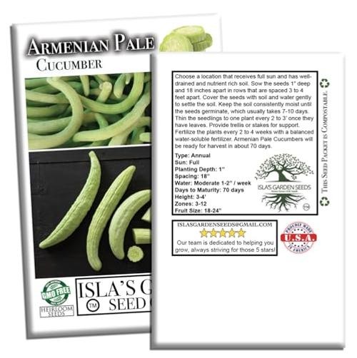 Armenian Pale Green Cucumber Seeds (Cucumis sativus) – 100+ Non-GMO & Heirloom