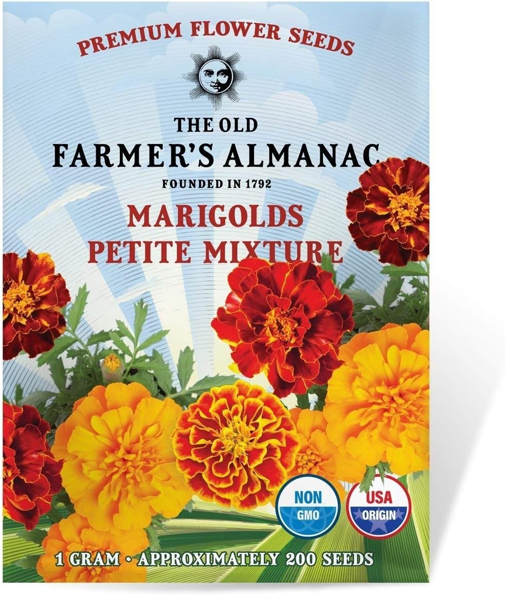 Petite Mixture Marigold Seeds – Non-GMO, Attracts Pollinators, 200 Count