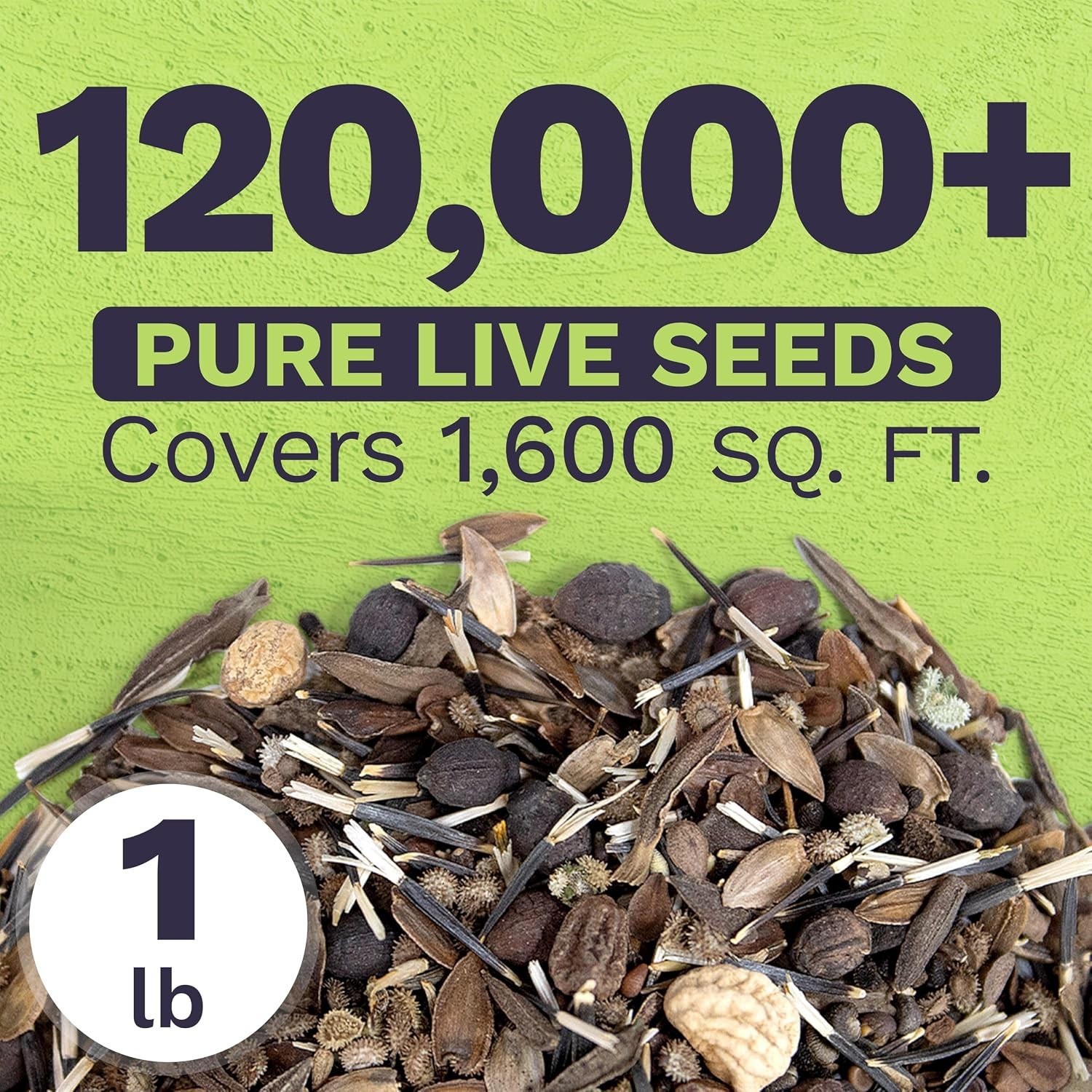 Bulk Wildflower Mix Seeds – 120,000+ Annual Perennials