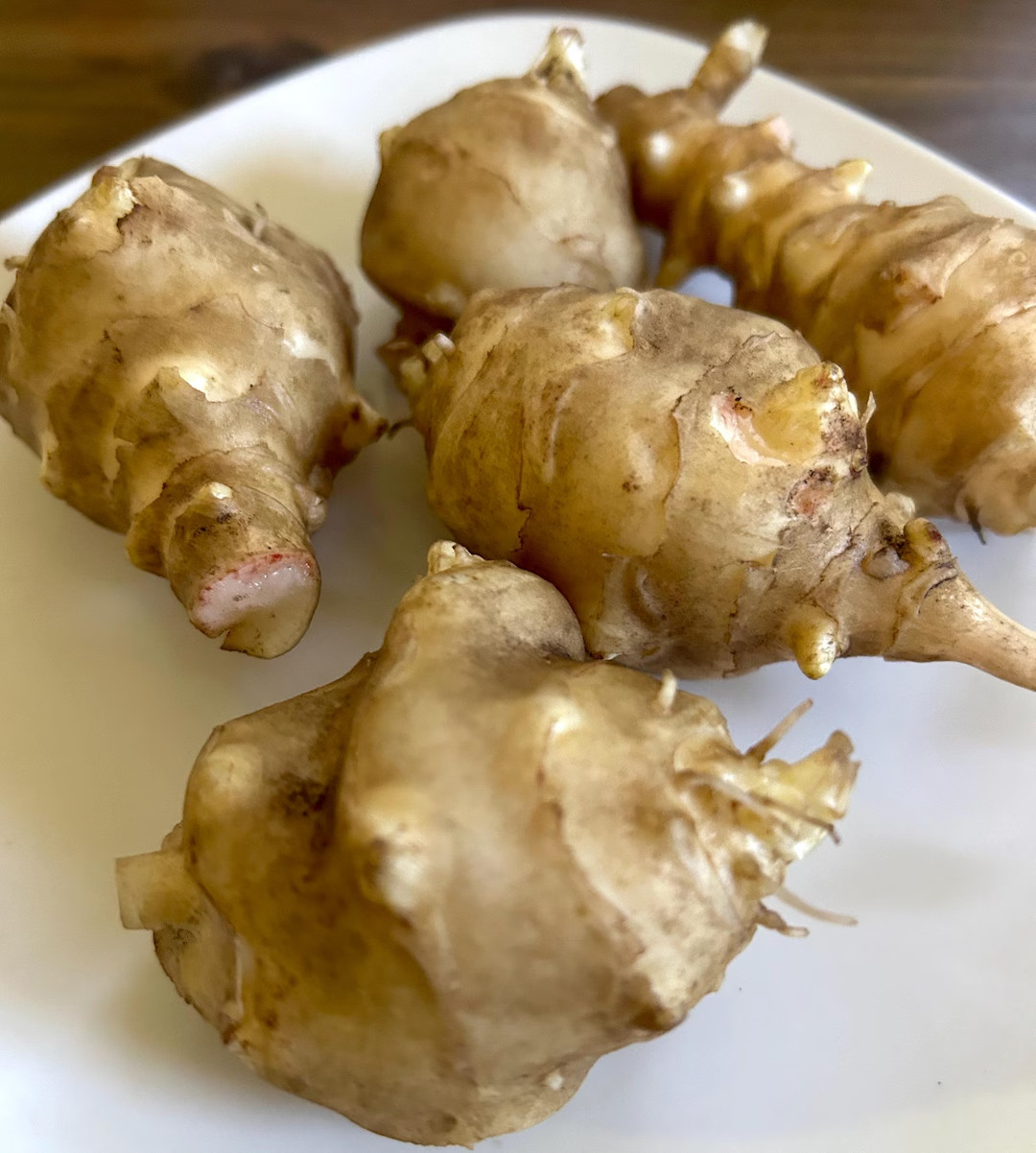 White Mammoth Sunchoke – H. tuberosus – 1 Potted Plant -6-10 in -Edible Tubers!!