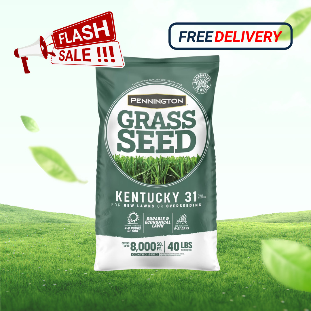 [FASH SALE]Pennington Kentucky 31 Tall Fescue Grass Seed Sun/Partial Shade 40 lb
