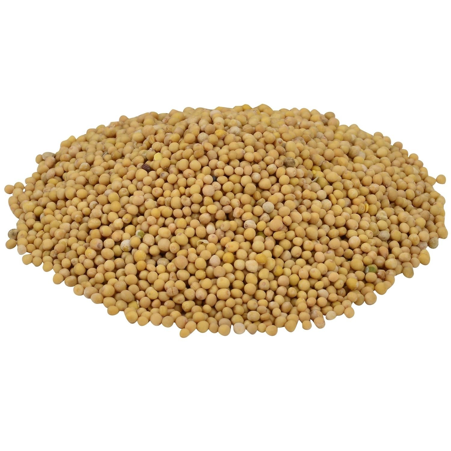 22 oz Yellow Mustard Seeds – Versatile Spice for Chefs and Home Cooks
