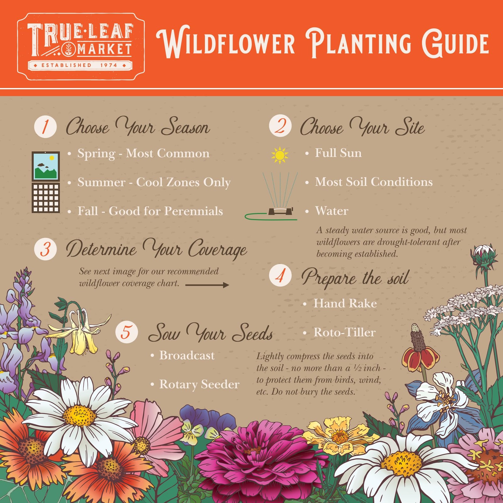 Wildflower Seeds Bulk, 2 Oz. 80,000+ 2 Oz Gift Bag, Blue,Orange,Purple,Red
