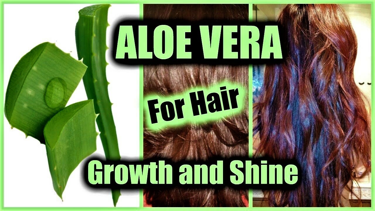 Aloe Vera Gel Barbadensis Organic Leaf, Edible Vitamins Minerals
