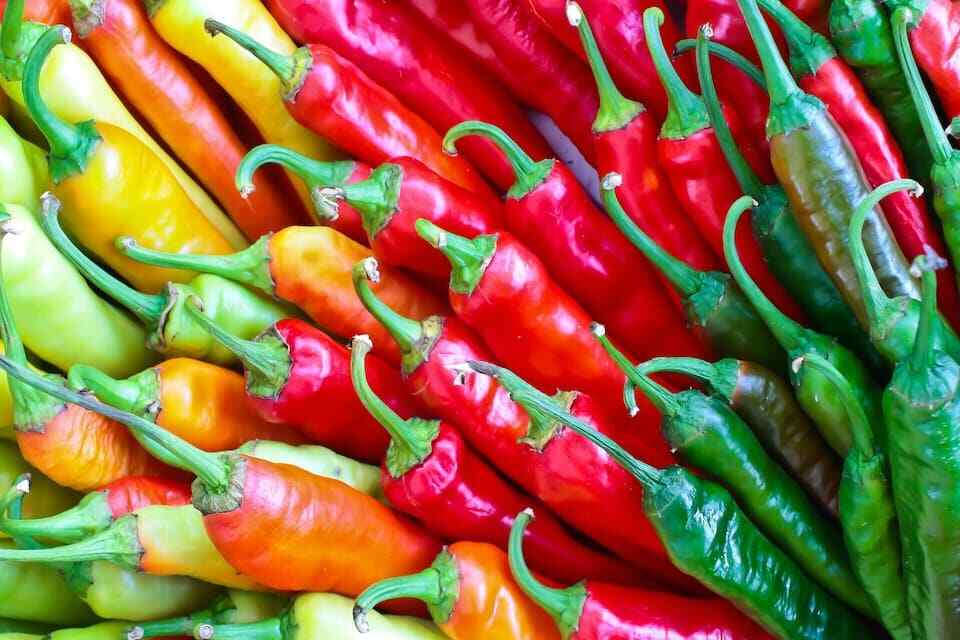 HOT PEPPER CAYENNE BLEND 10 SEEDS