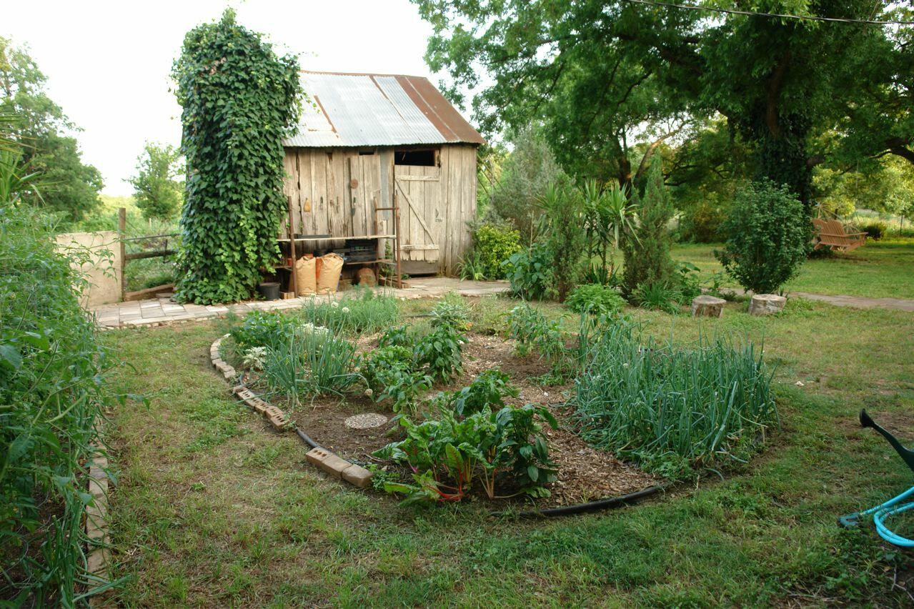 24,000+ Survival/Garden Seeds ” 61 Heirloom ” Varieties! “Guaranteed Fresh”