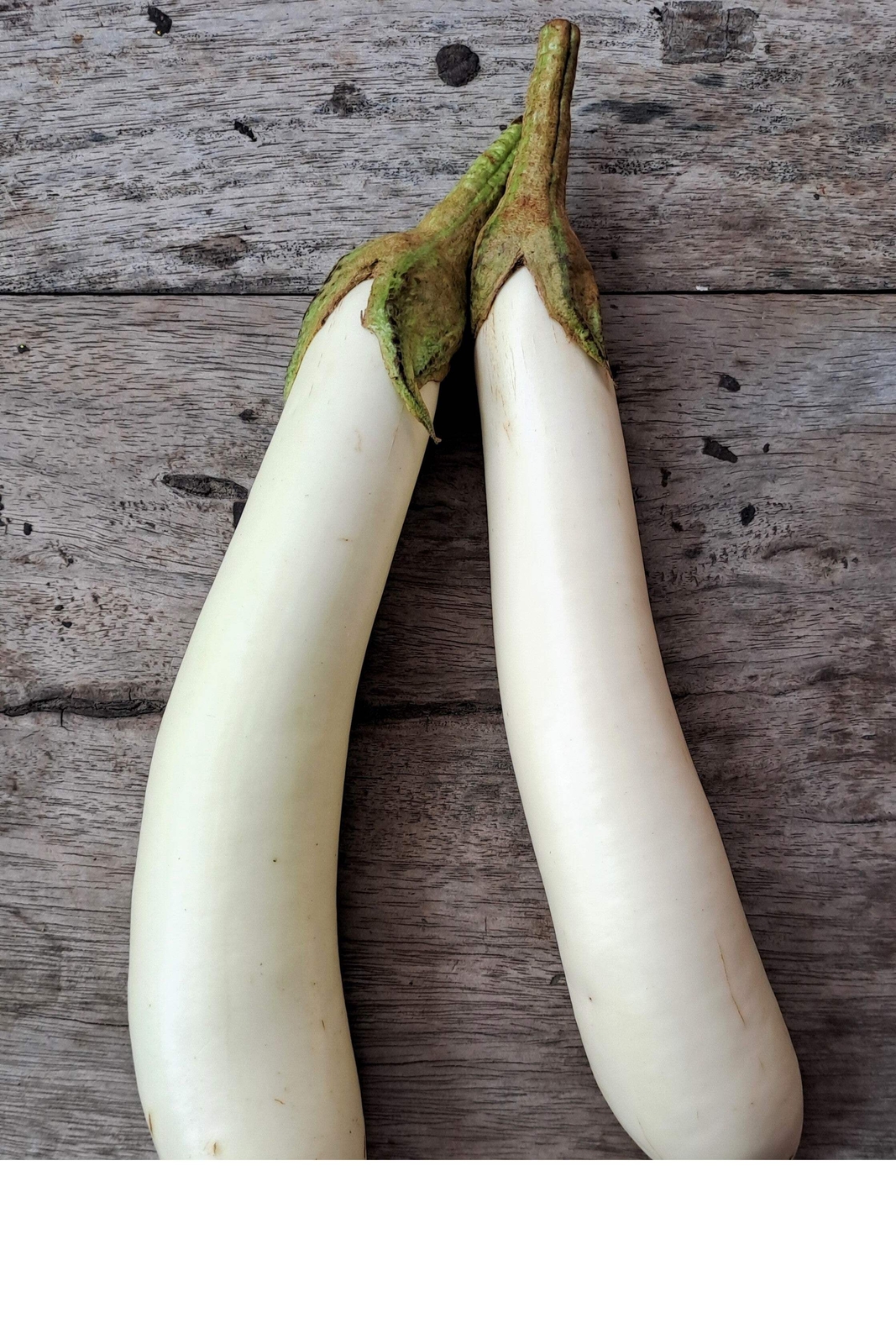 40 White Star FINGER FRUIT EGGPLANT Solanum Melongena Aubergine Vegetable Seeds
