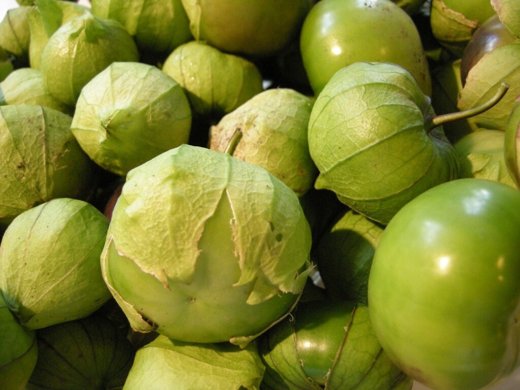 Tomatillo Verde Seeds Heirloom Fresh Culinary Delicious Green Husk Salsa