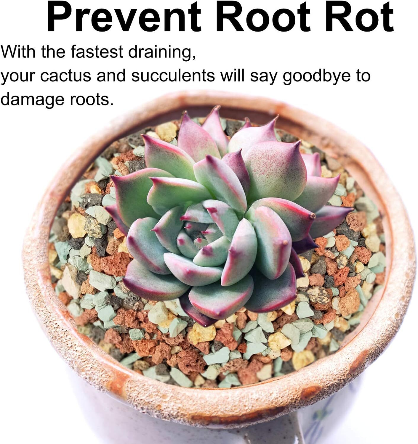 5Lb Succulent Soil Mix Gritty Blend For Cactus Drainage And Root Health
