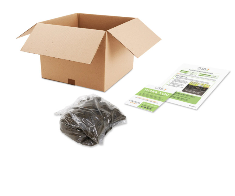 Garden State Bulb Bartzella Itoh Peony, Live Bare Root, Spring Planting