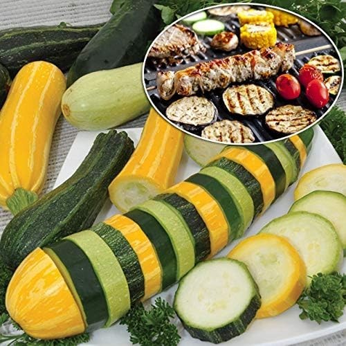 Rare 12 Variety Non-GMO Zucchini & Squash Seed Mix – 50 Seeds for Every Garden