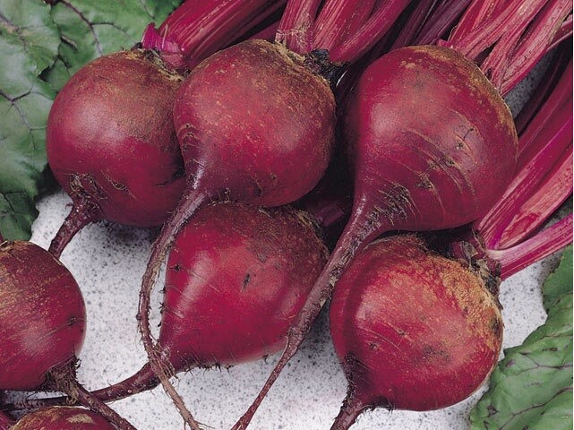 Ruby Queen Beet 60 – 1 LB Seeds Buttery Retains color Exceptionally tender Bulk