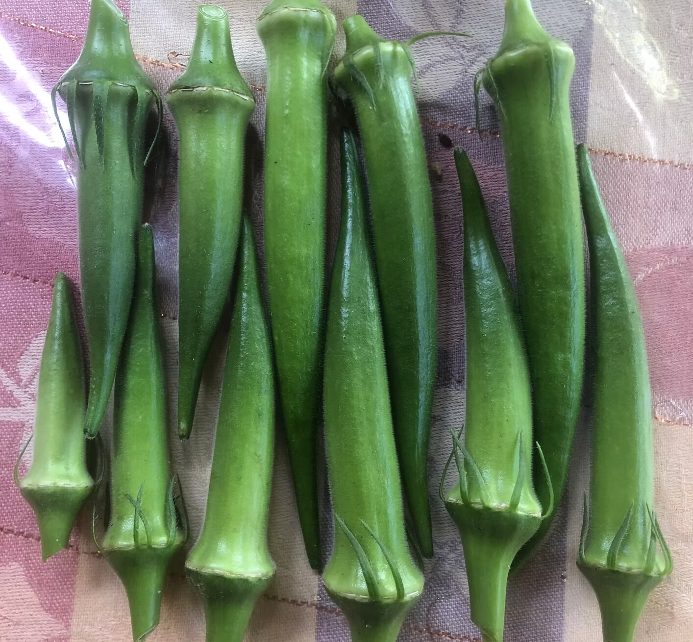 30 Fresh Okra Seeds, Clemson Spineless, Organic Non-GMO Heirloom USA Seller 🇺🇸