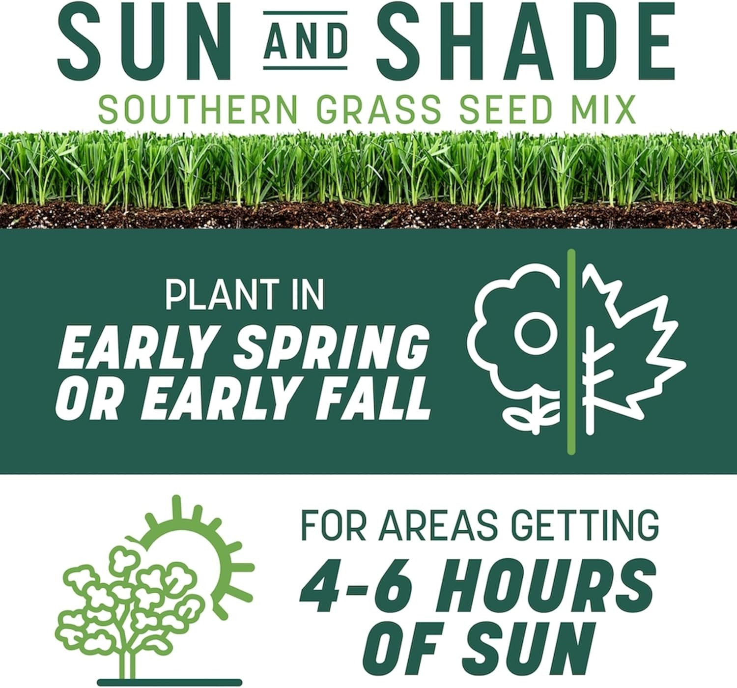 Pennington Smart Seed Sun & Shade Mix South, Tall Fescue Grass Seeds for Lawn, 4