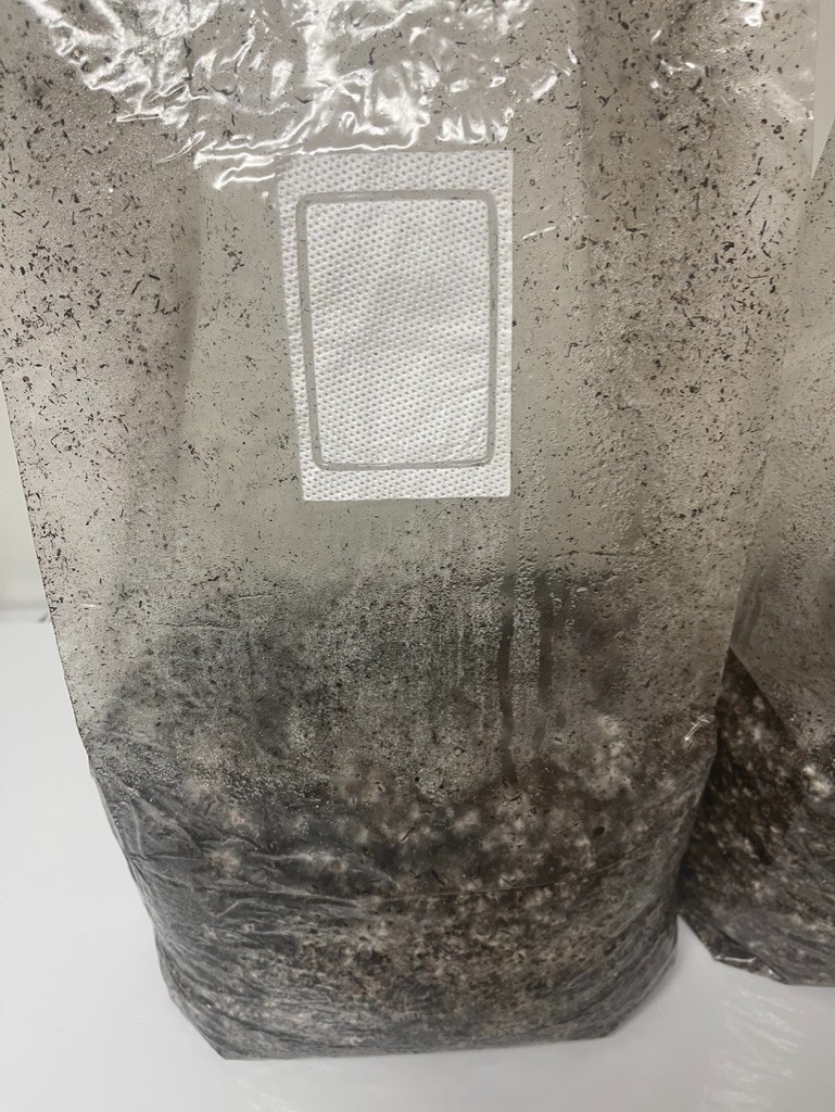 MycoHaus 5 LBS Sterilized Compost Bulk Mushroom Substrate Grow Kit Spawn bags