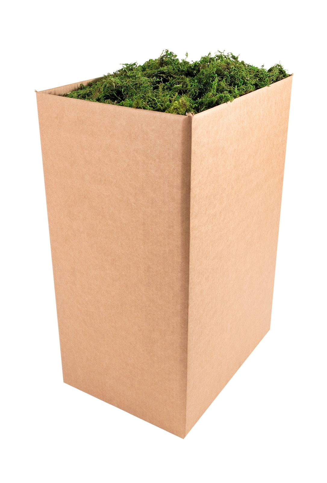 SuperMoss (25327) Forest Moss Preserved, Fresh Green, 10 Pounds