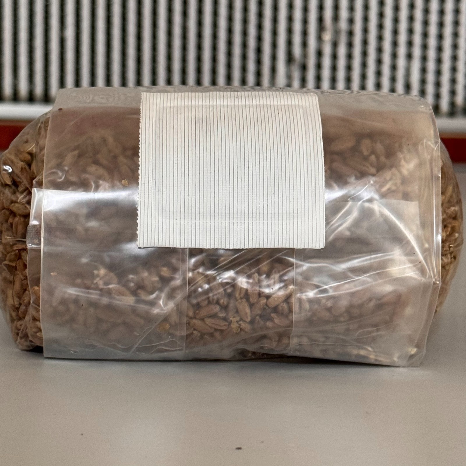 *Flash Sale* Sterilized Grain Bag W Injection Port – 1lb Org Rye Unicorn 4T